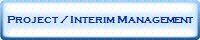 Project / Interim Management