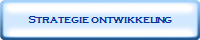 Strategie ontwikkeling