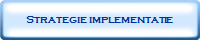Strategie implementatie