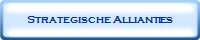 Strategische Allianties